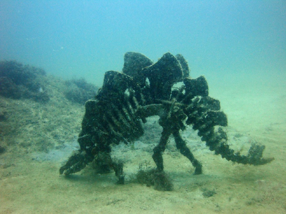 Фото Черноморский берег