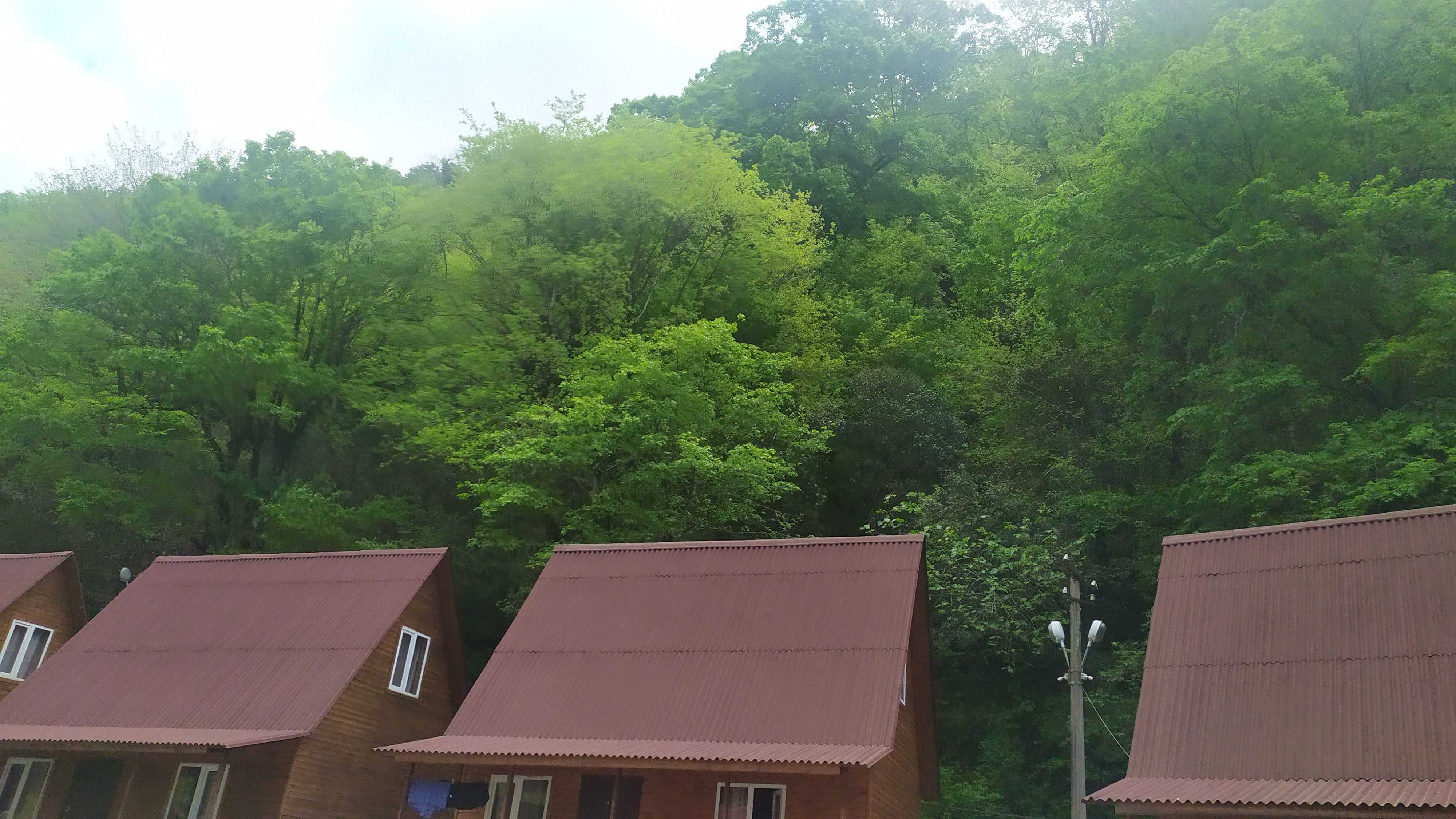 Фото Жоэквара