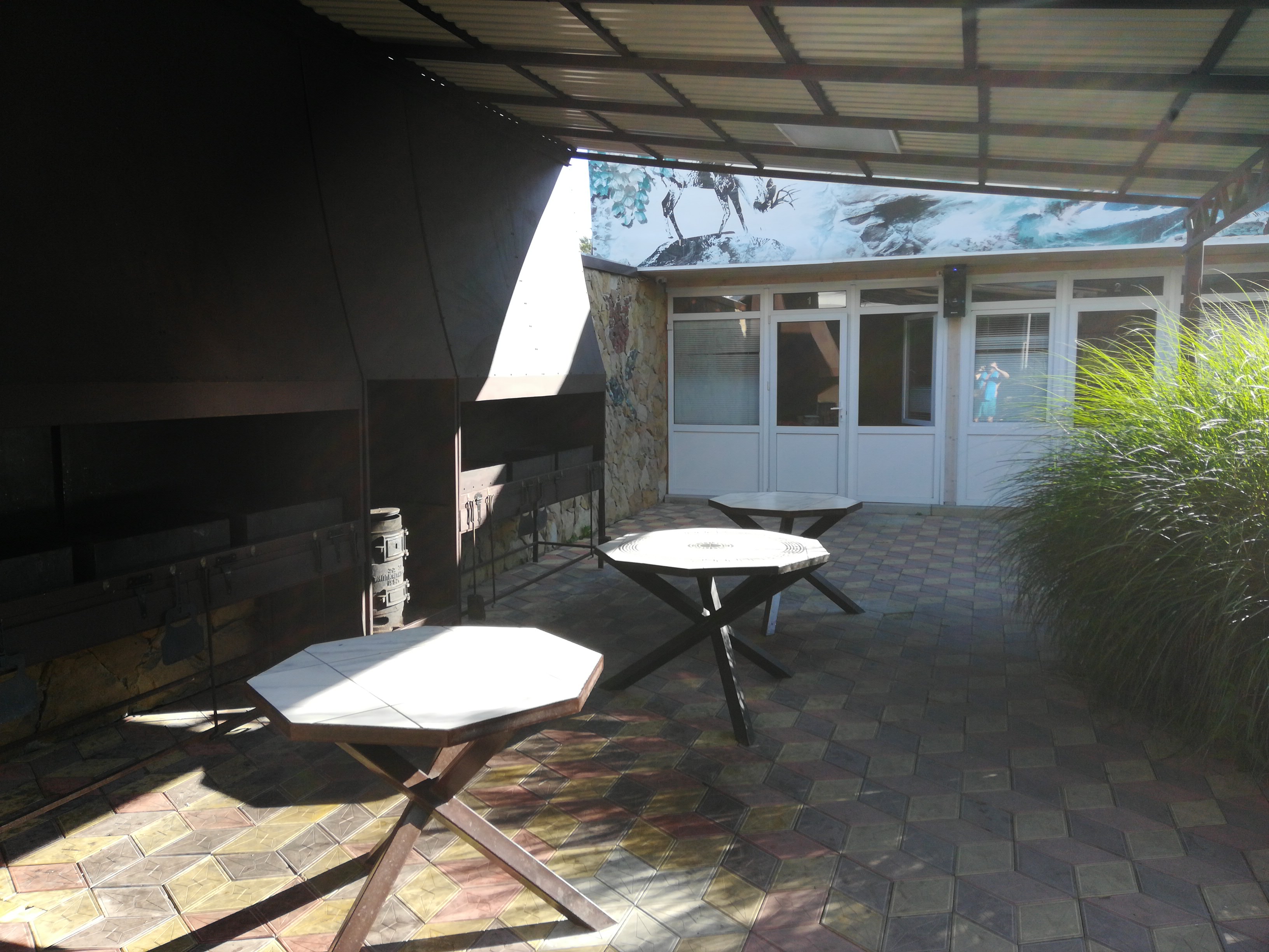 Фото Коралл фемели