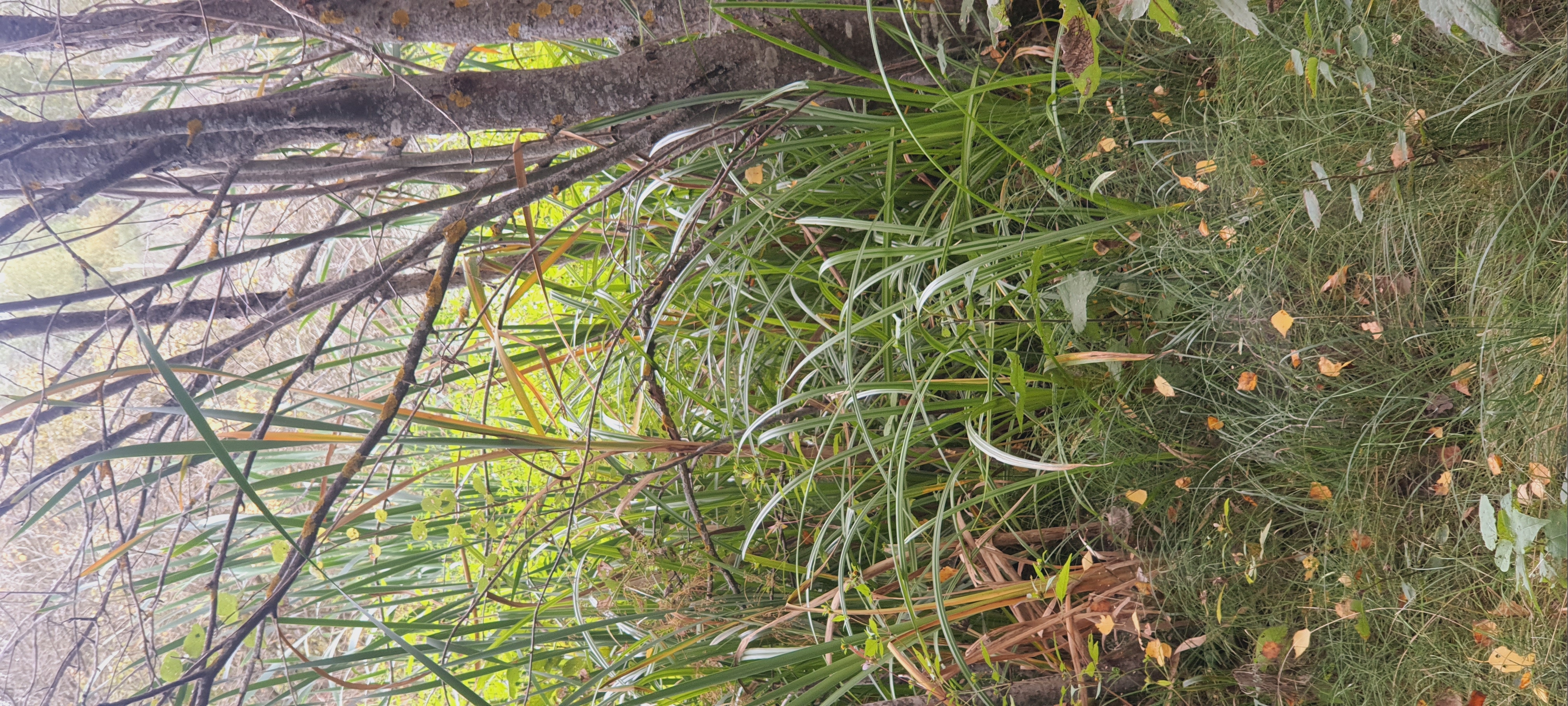 Фото Эко-горный