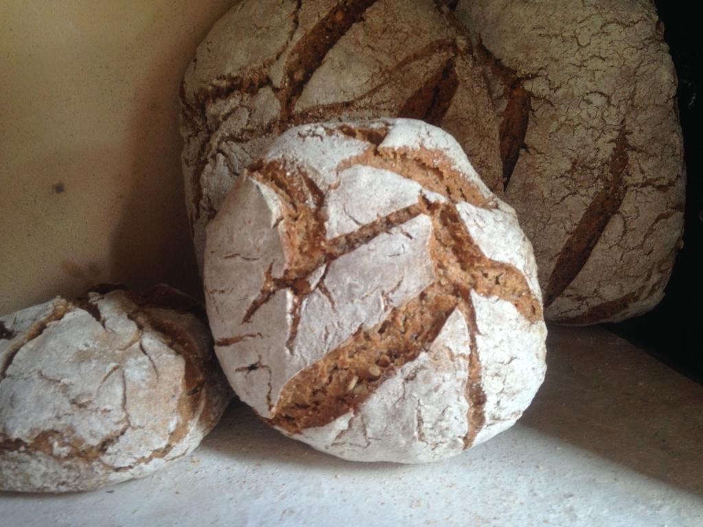 Фото Bioagriturismo Podere Pretoia