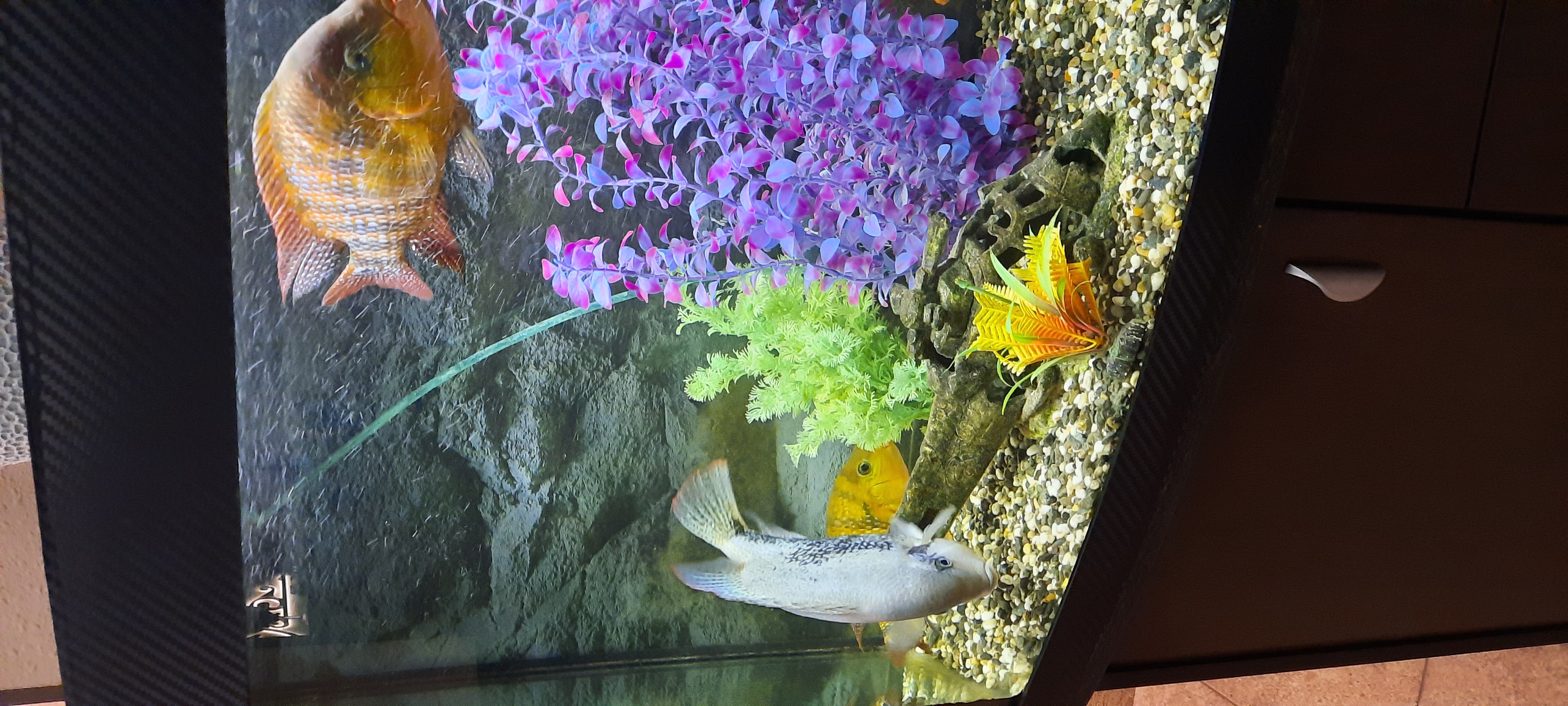 Фото Зеленый мыс