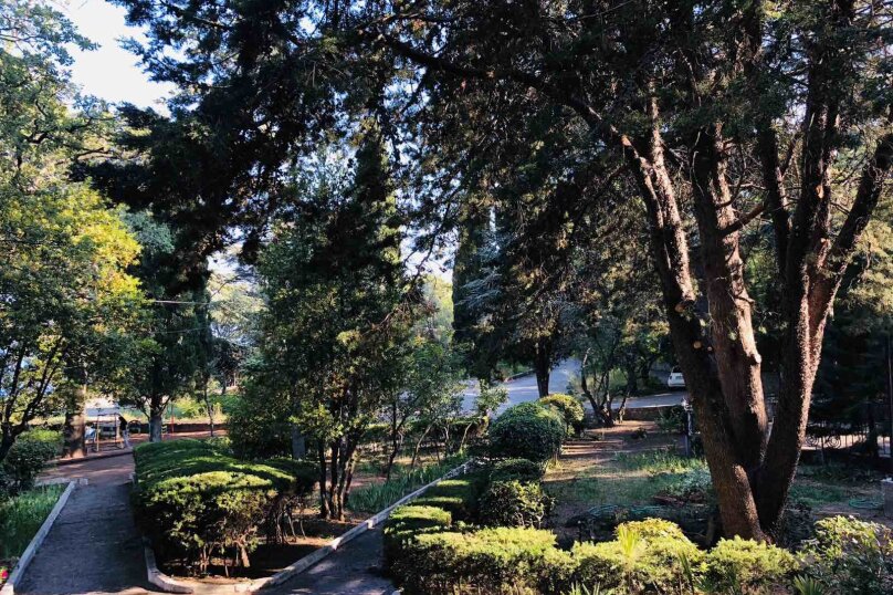 Фото Олива Парк