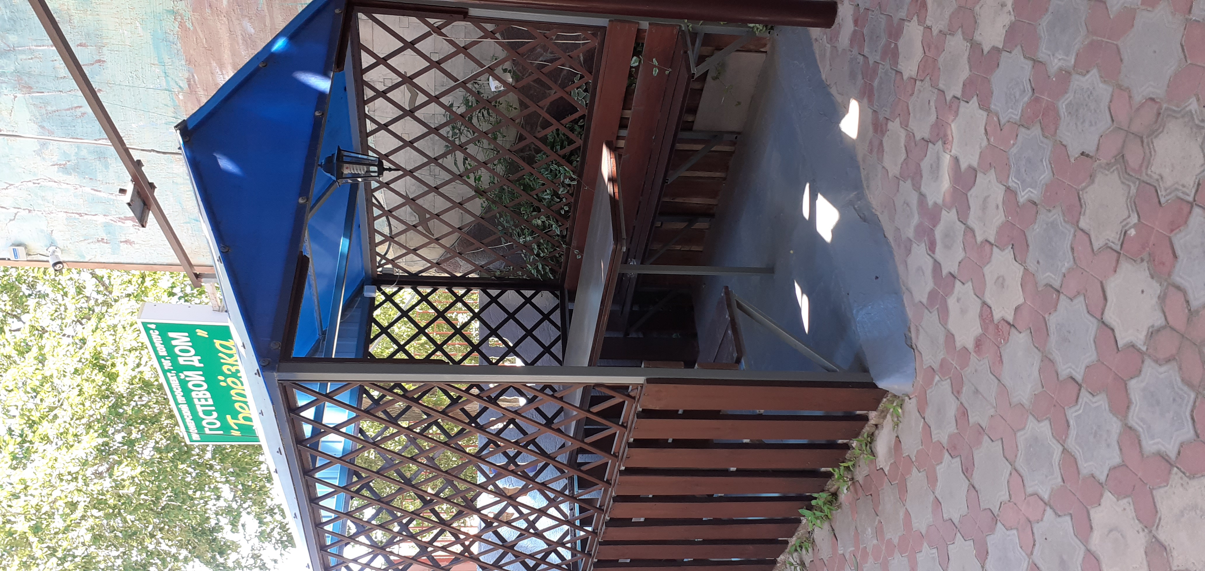 Фото Березка