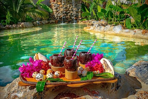 Гостиница Chalet Tropical Bio Hotel
