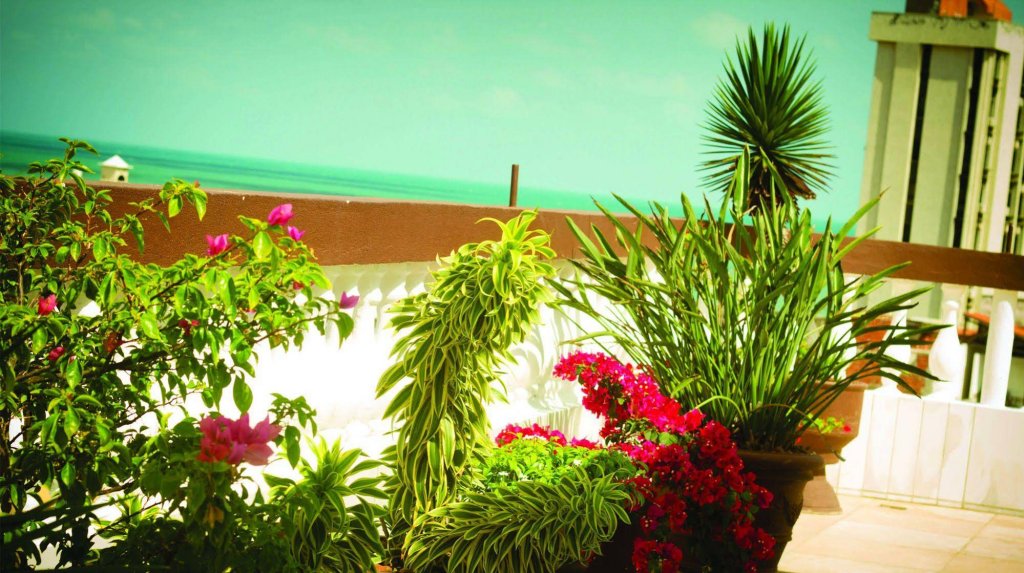 Фото Algarve Praia Hotel