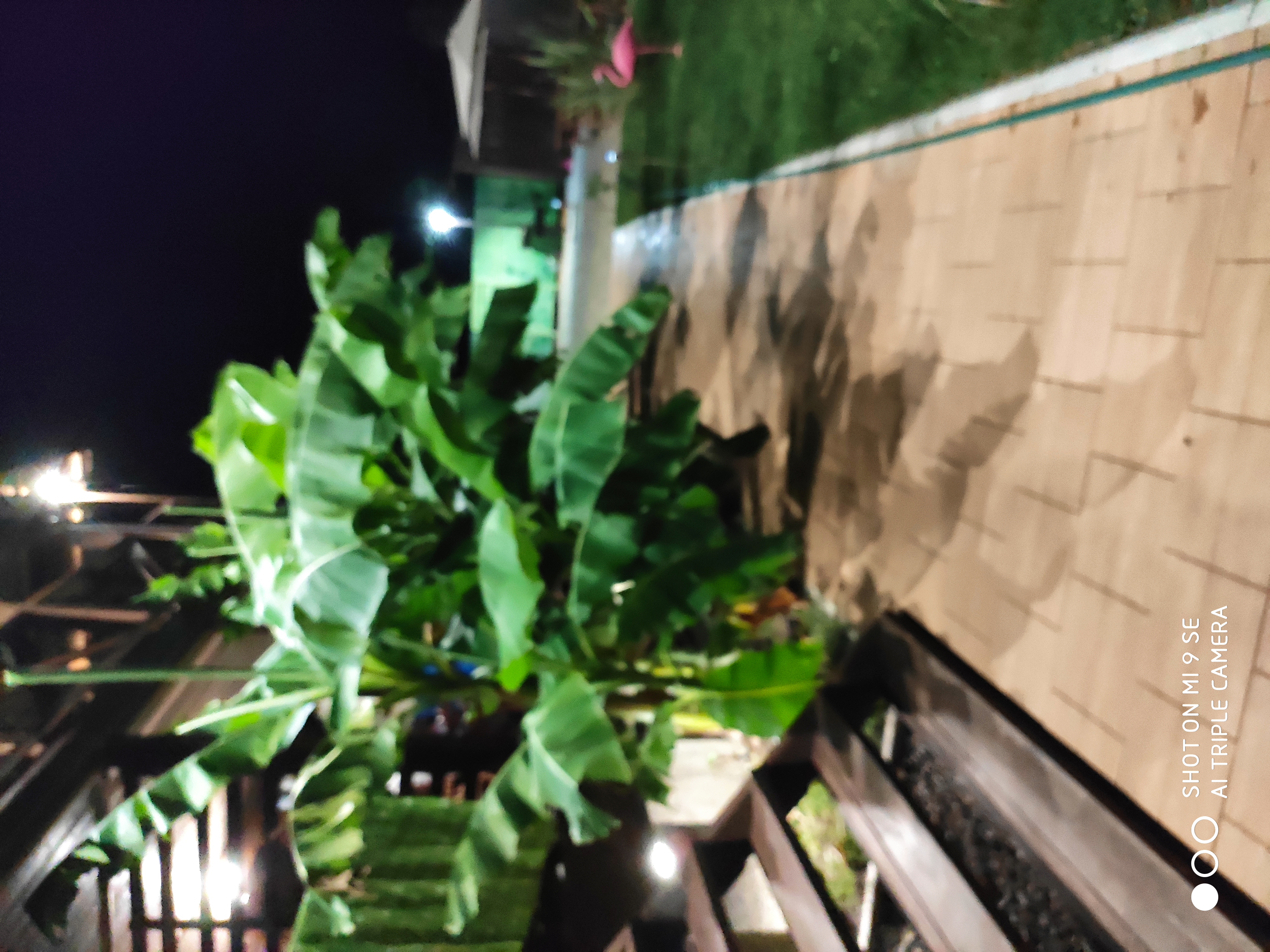 Фото Баунти