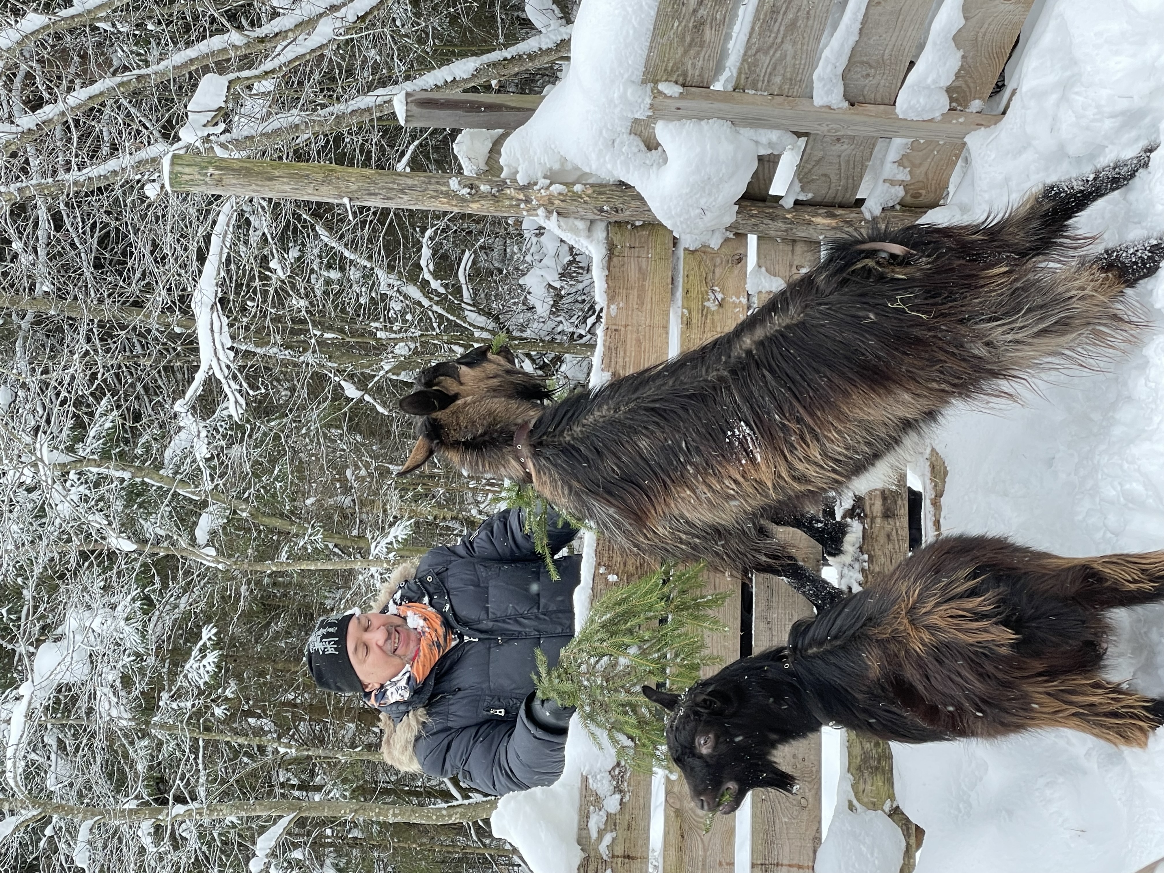 Фото Старсподворье