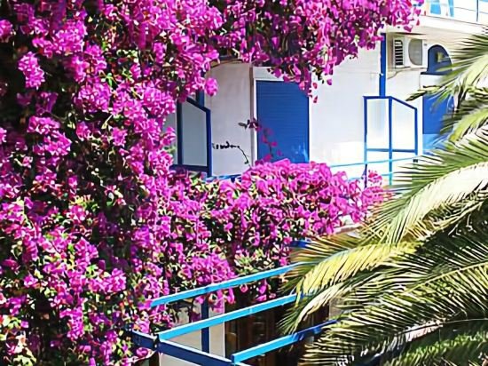 Фото Hippocampus Hotel