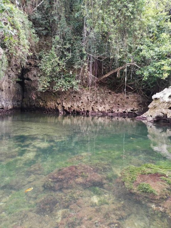 Фото Hotel Boutique Playa Bonita