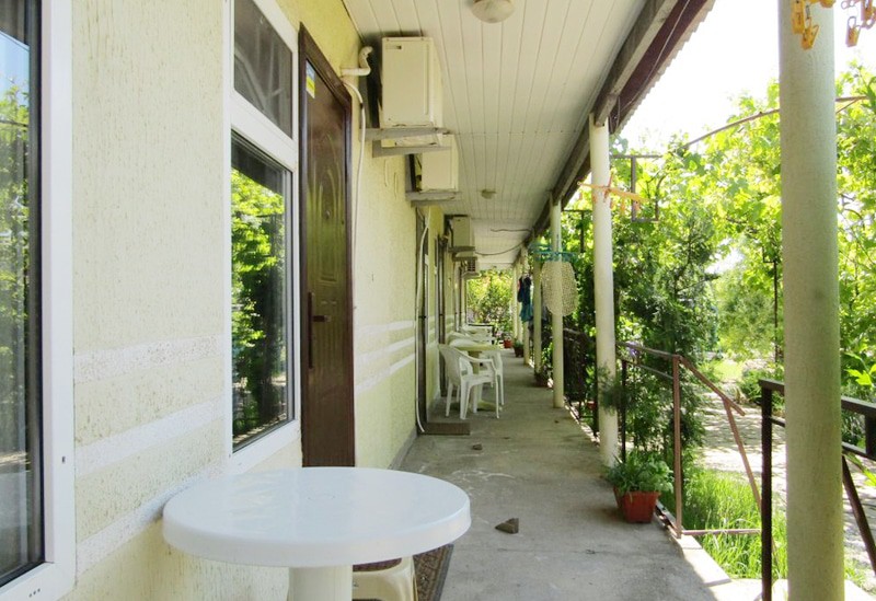 Фото Бумеранг