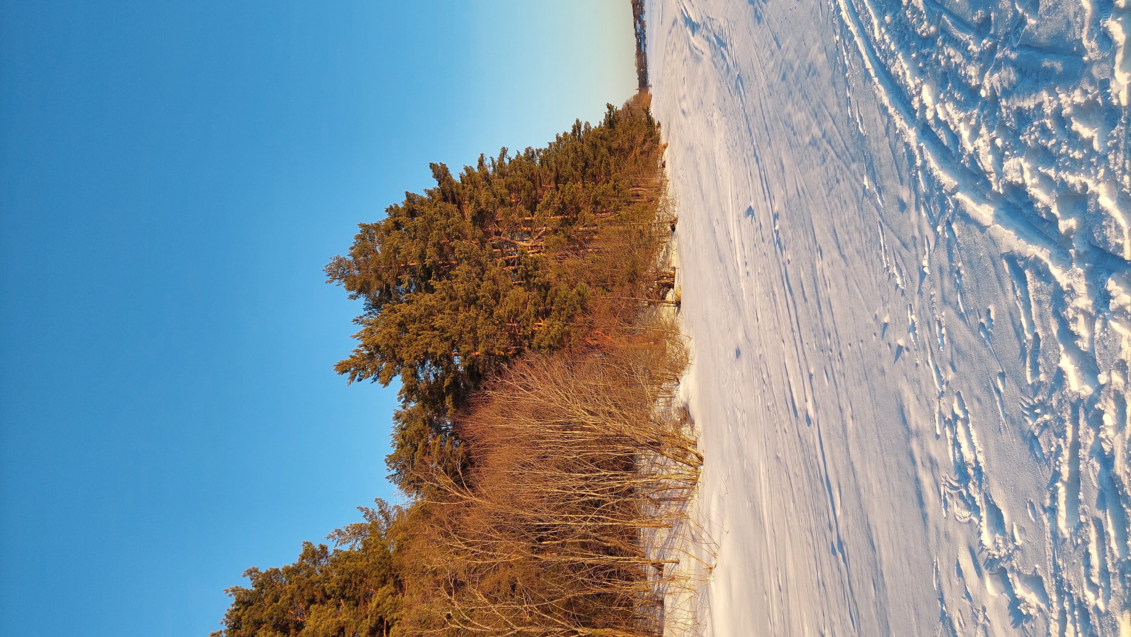 Фото Seliger Wind