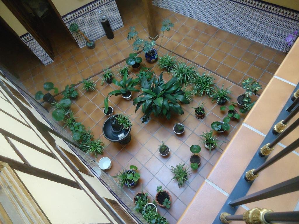 Фото Hostal Infantes