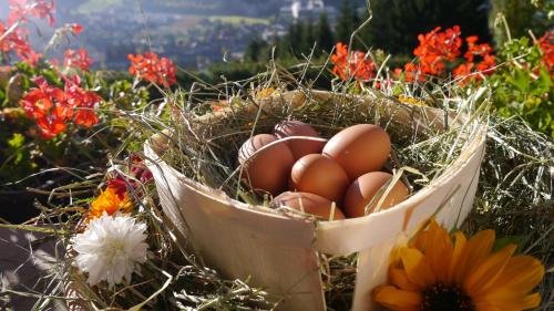 Фото Kuentnerhof