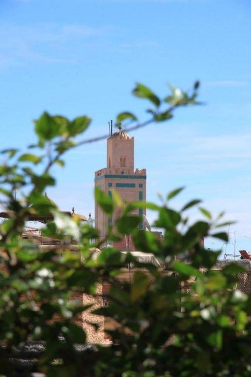 Фото Riad Le Coq Berbere