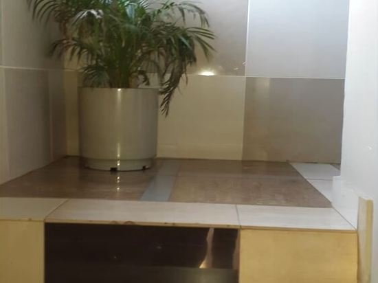 Фото Legacy Guest Lodge