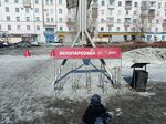 Bicycle parking (Barnaul, Pobedy Square, 1), bicycle parking