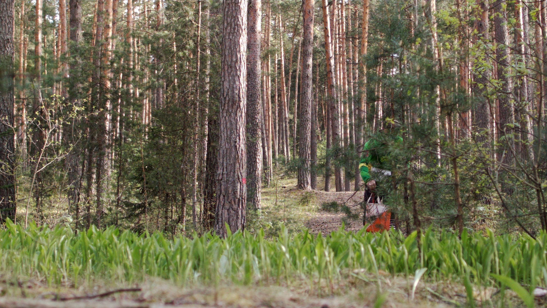 Фото Шале Белые пески