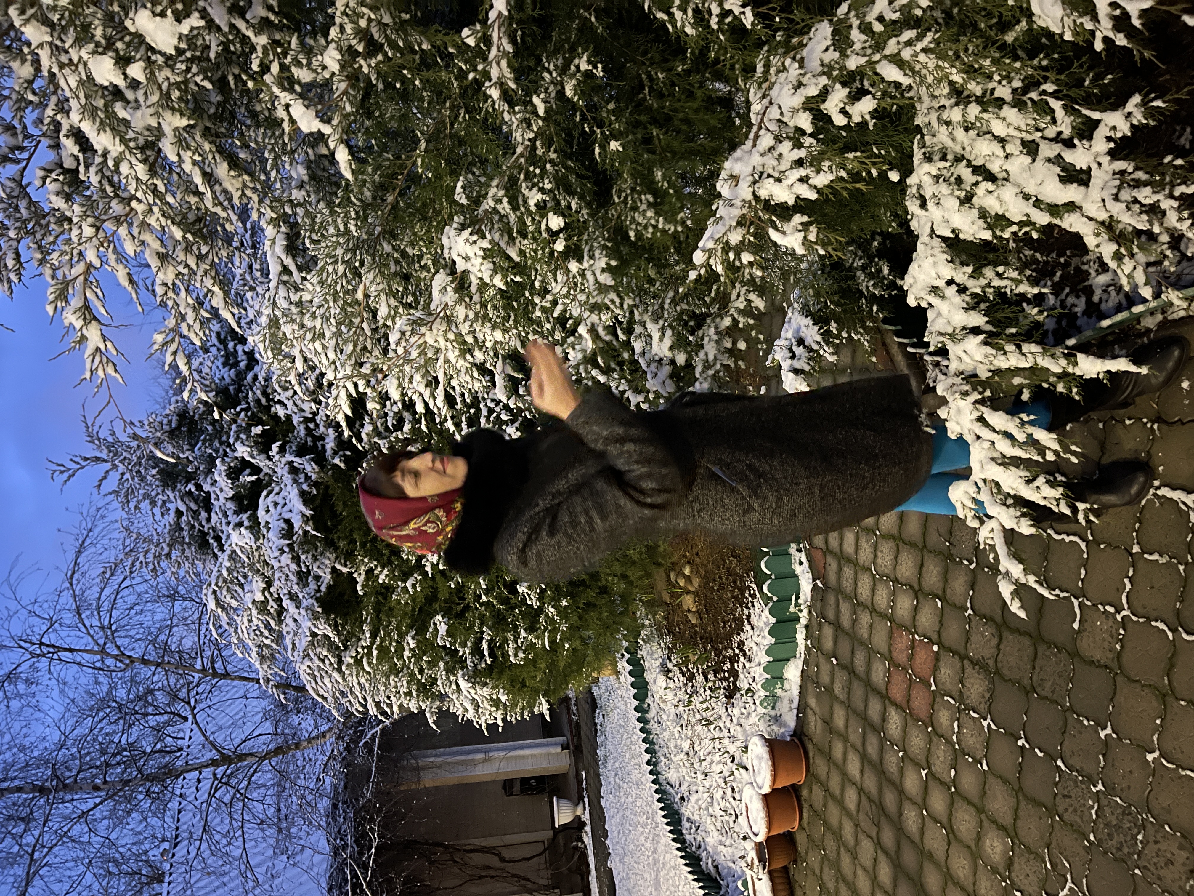 Фото Золотой лев