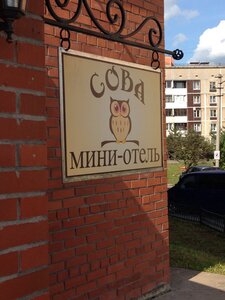 Сова