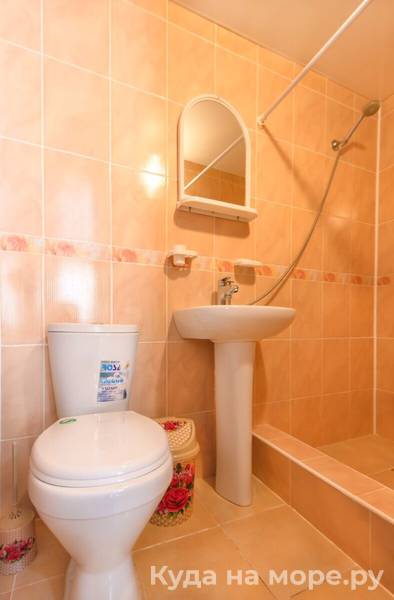 Фото Виолетта