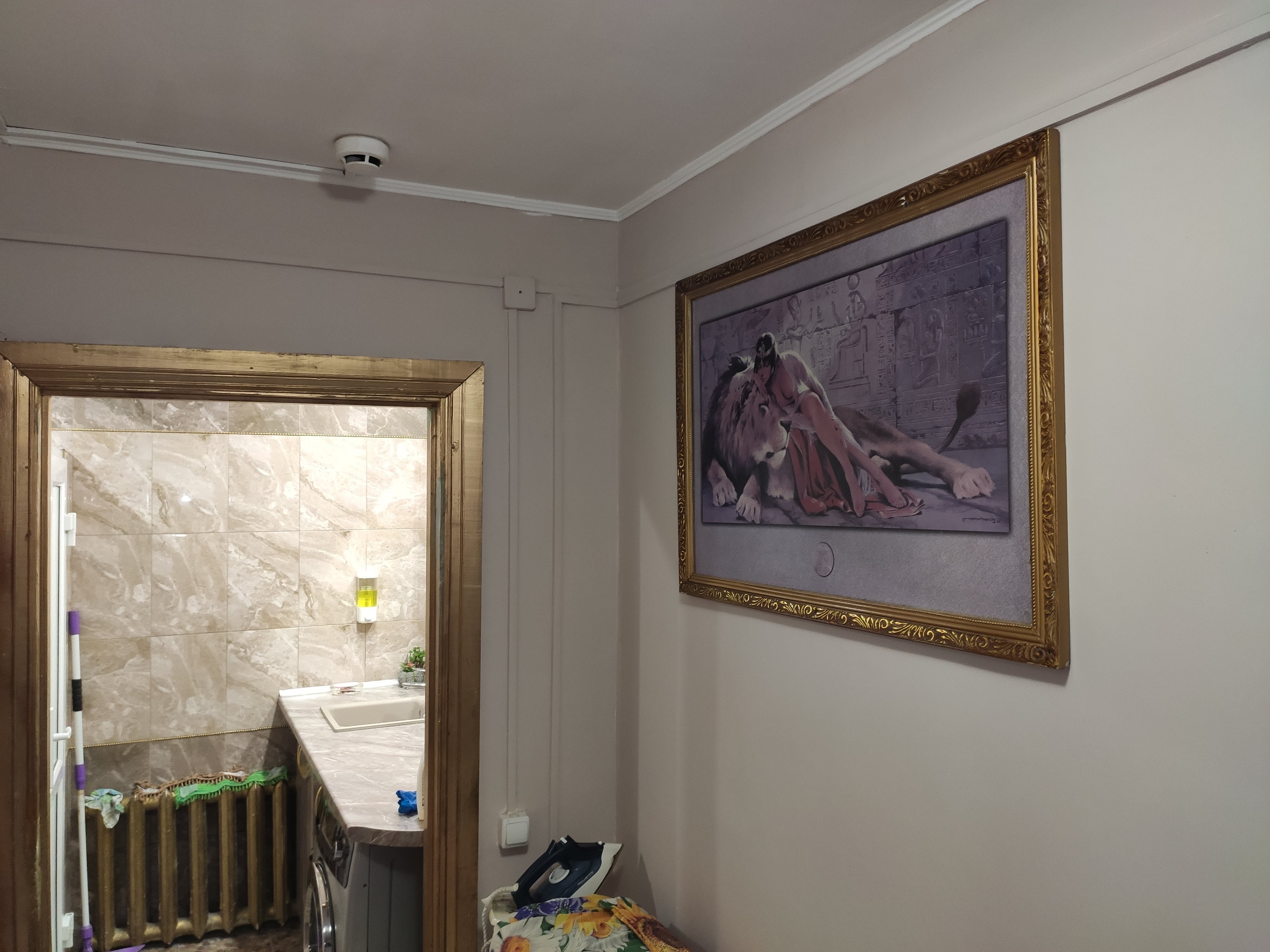 Фото Подсолнух