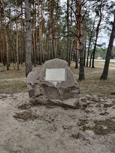 Камень (Брестская область, Пинск, Солнечная улица), природа в Пинске