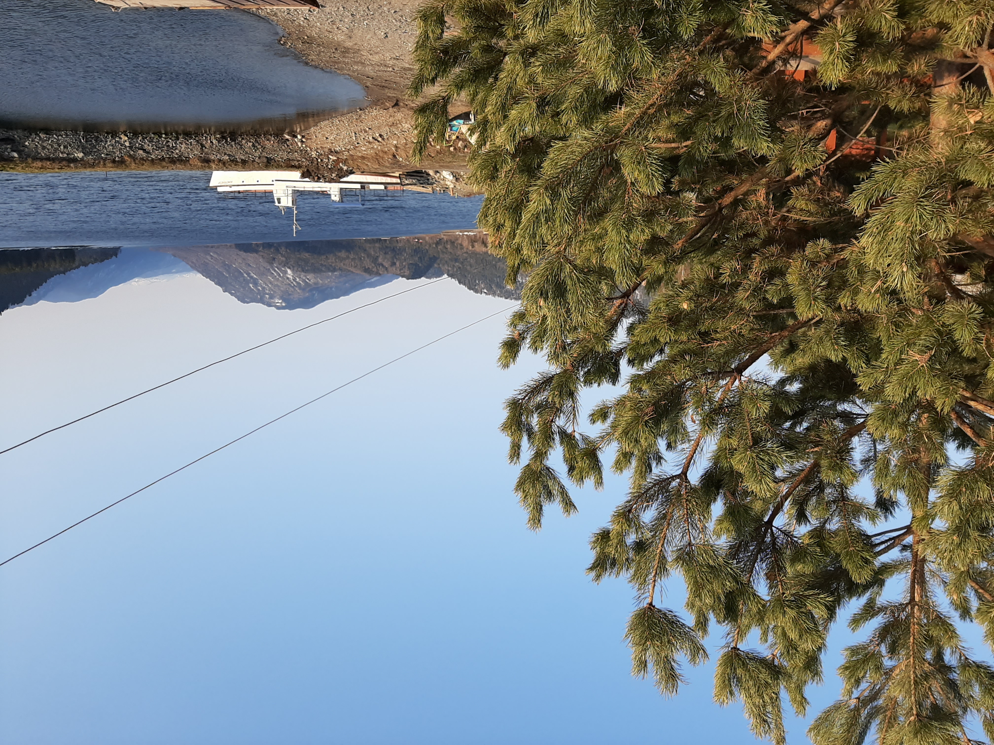 Фото Жемчужина