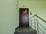 Expert (Kozlovskaya Street, 37), survey works