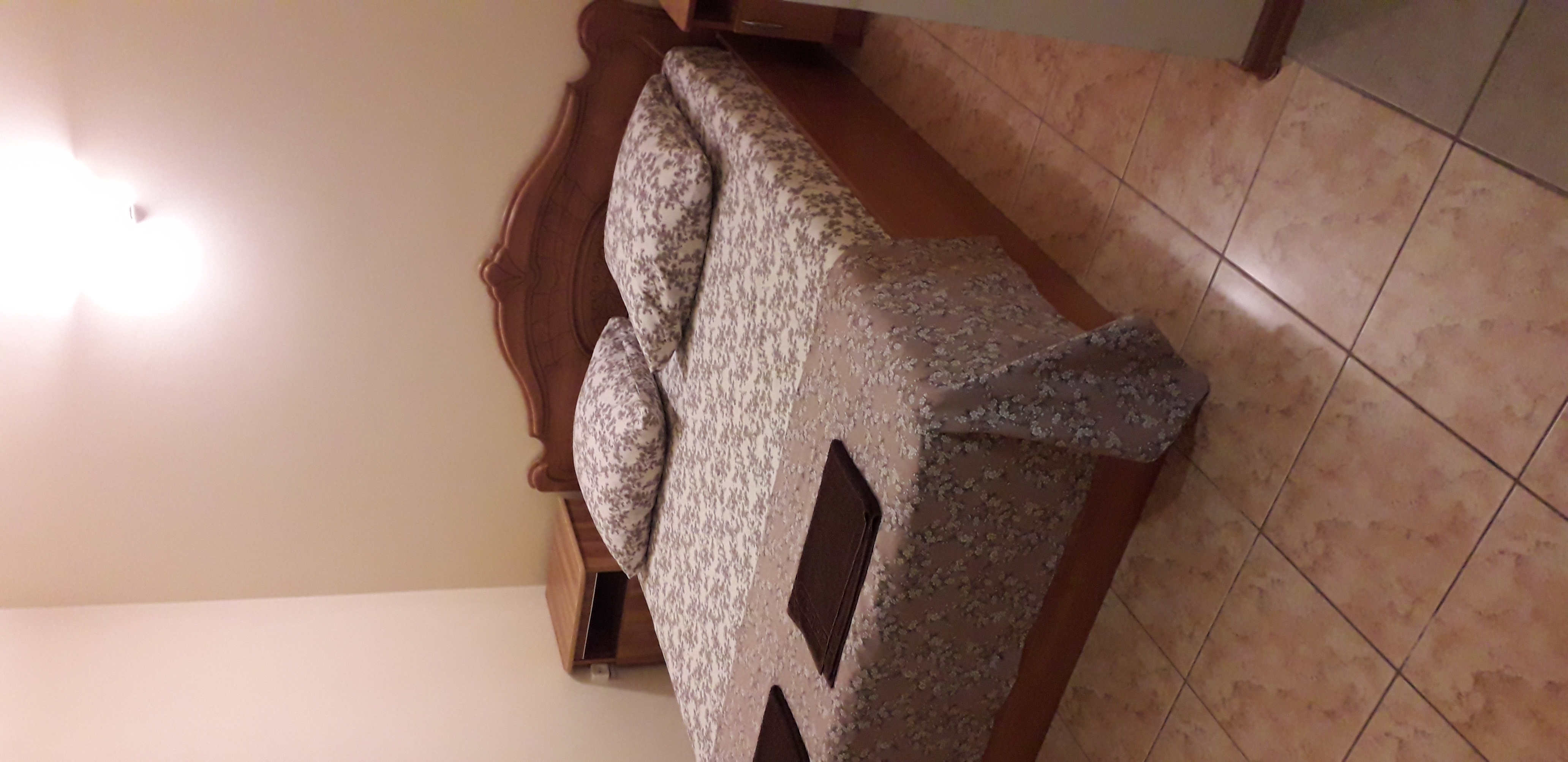 Фото Ромашка