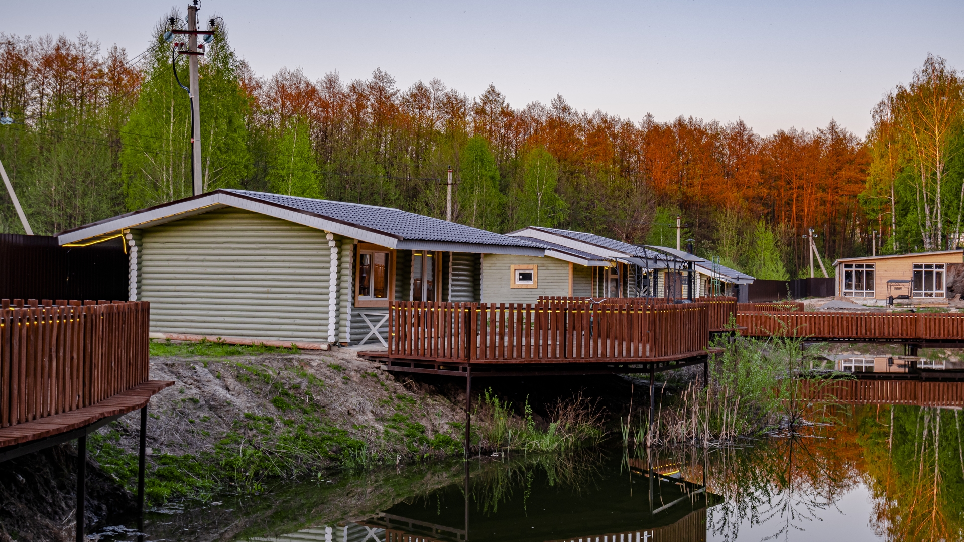 Фото Лесная история