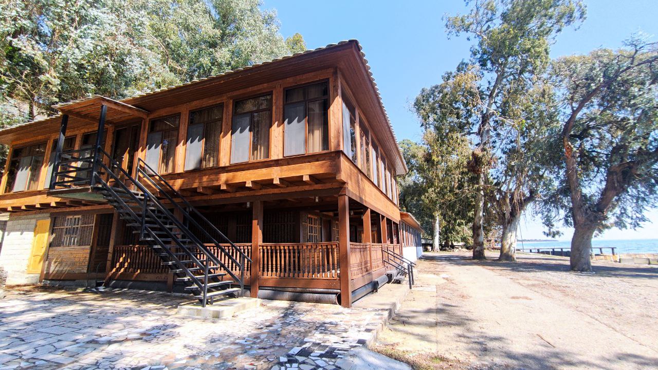 Фото Эвкалиптовая роща