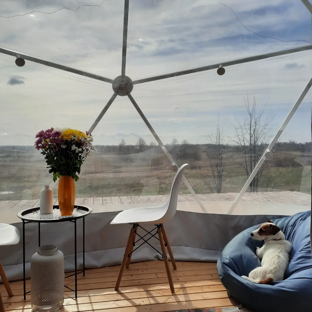 Фото Дача Липы