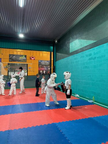 Karate Do