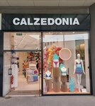 Calzedonia (Adana, Seyhan, Yeni Neighborhood, 87071st Street, 7C), lingerie and swimwear shop