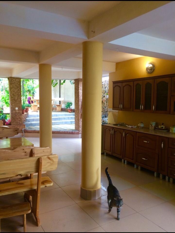 Фото Карина