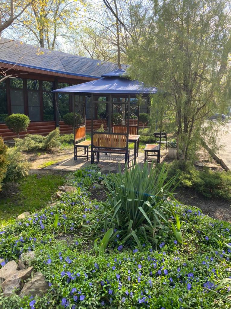 Фото Голубая Волна