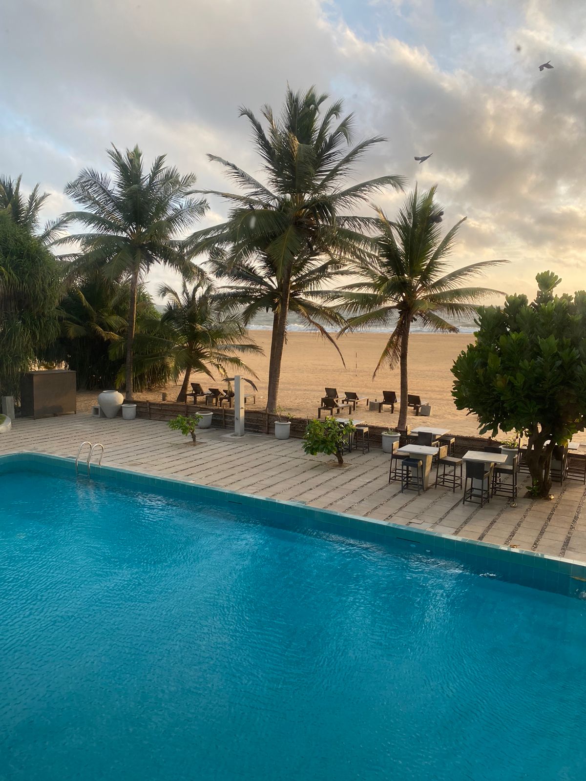 Фото Jetwing Sea