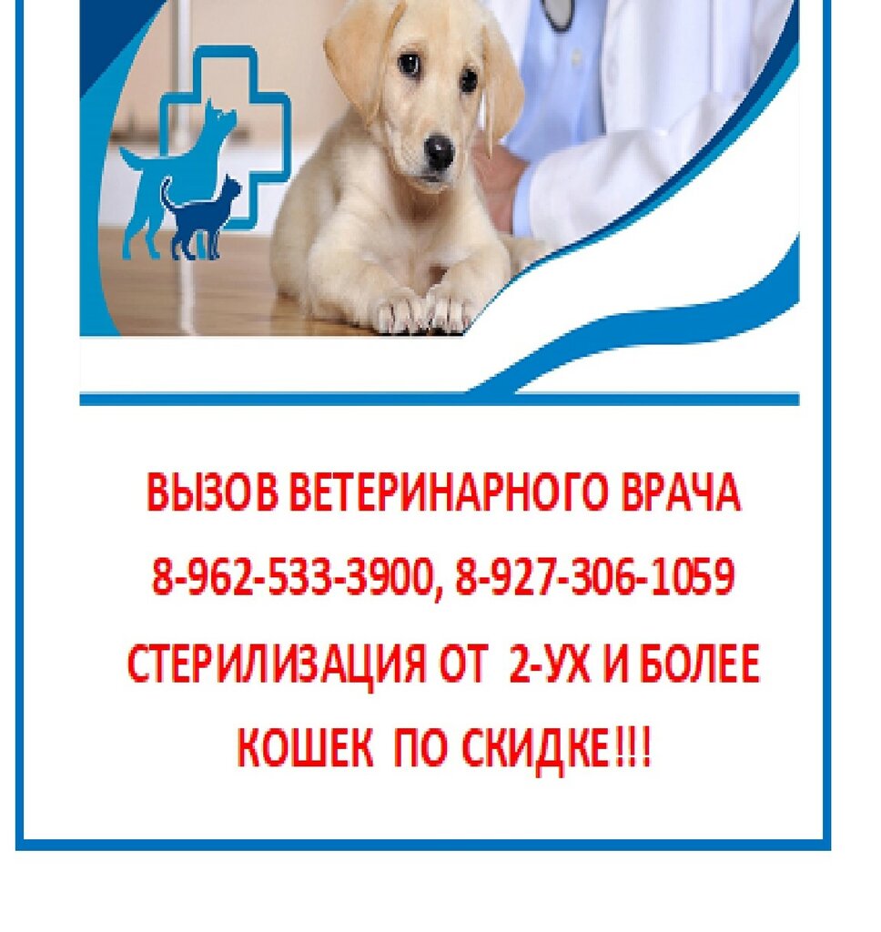 Карта ветеринарной клиники