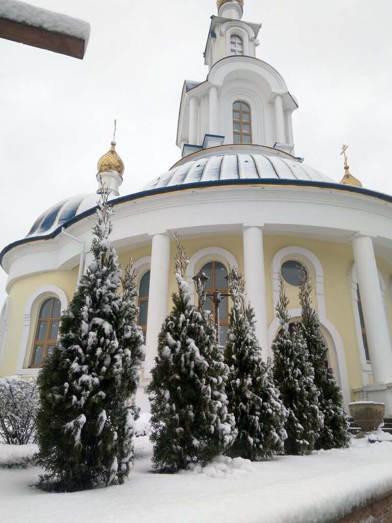 كنيسة أرثوذكسية Храм Рождества Пресвятой Богородицы ، ، صورة