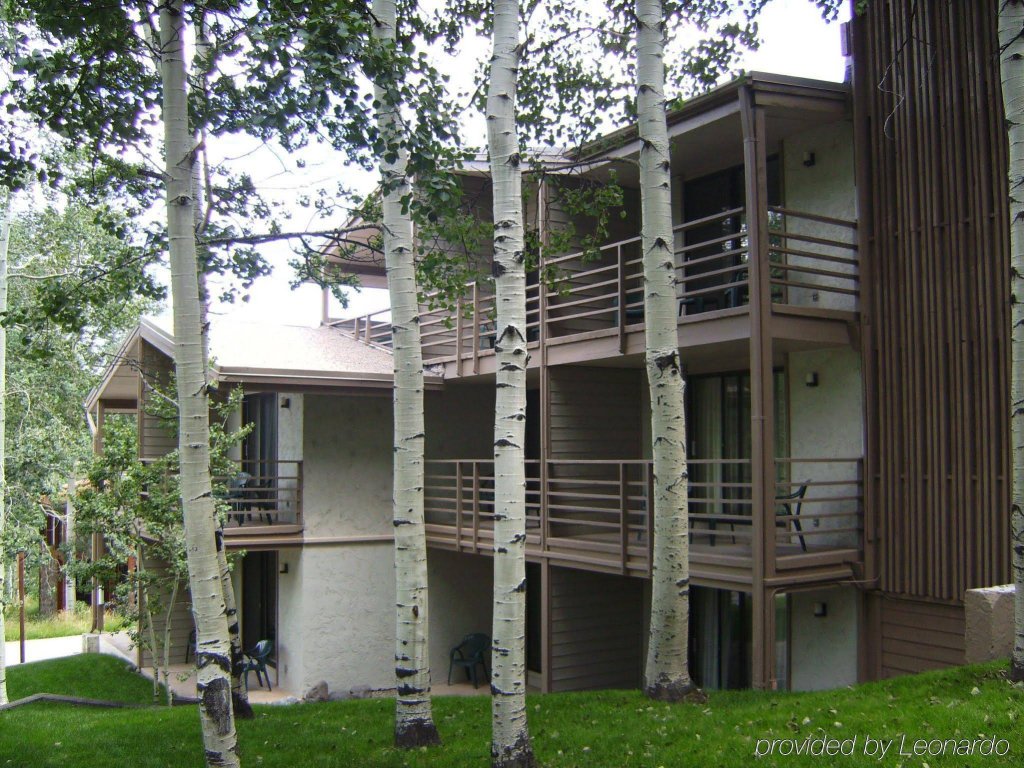 Фото Pokolodi Lodge