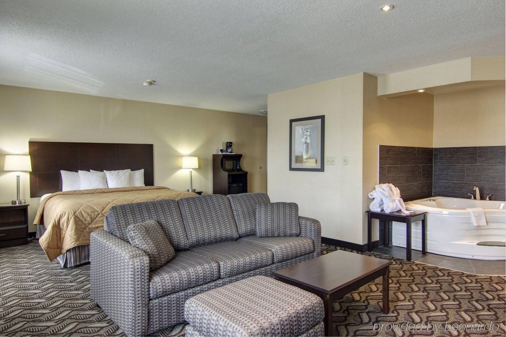Фото Comfort Inn & Suites Ambassador Bridge