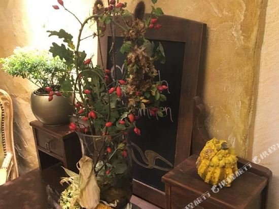 Фото Altstadthotel am Pach