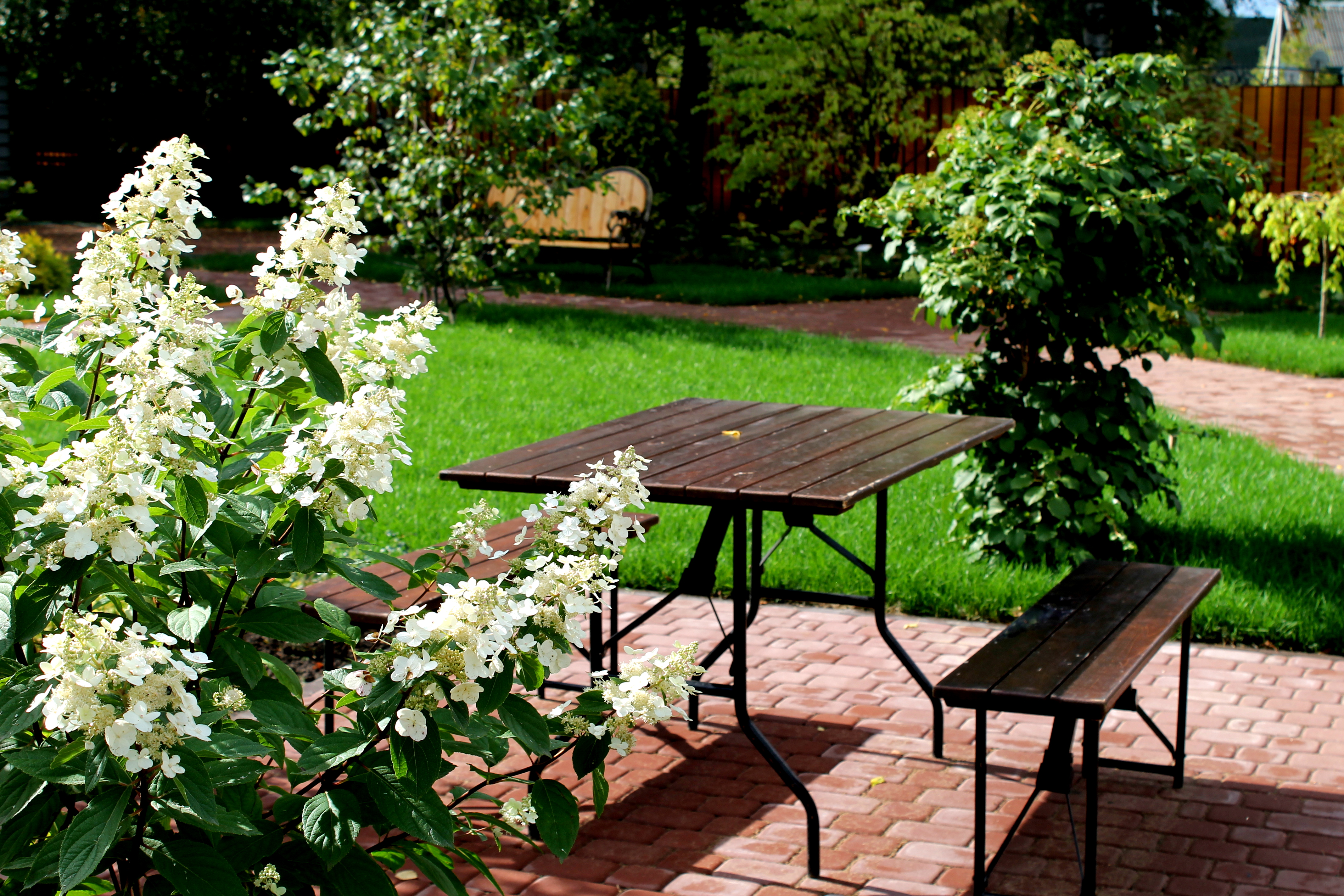 Фото Вокруг света