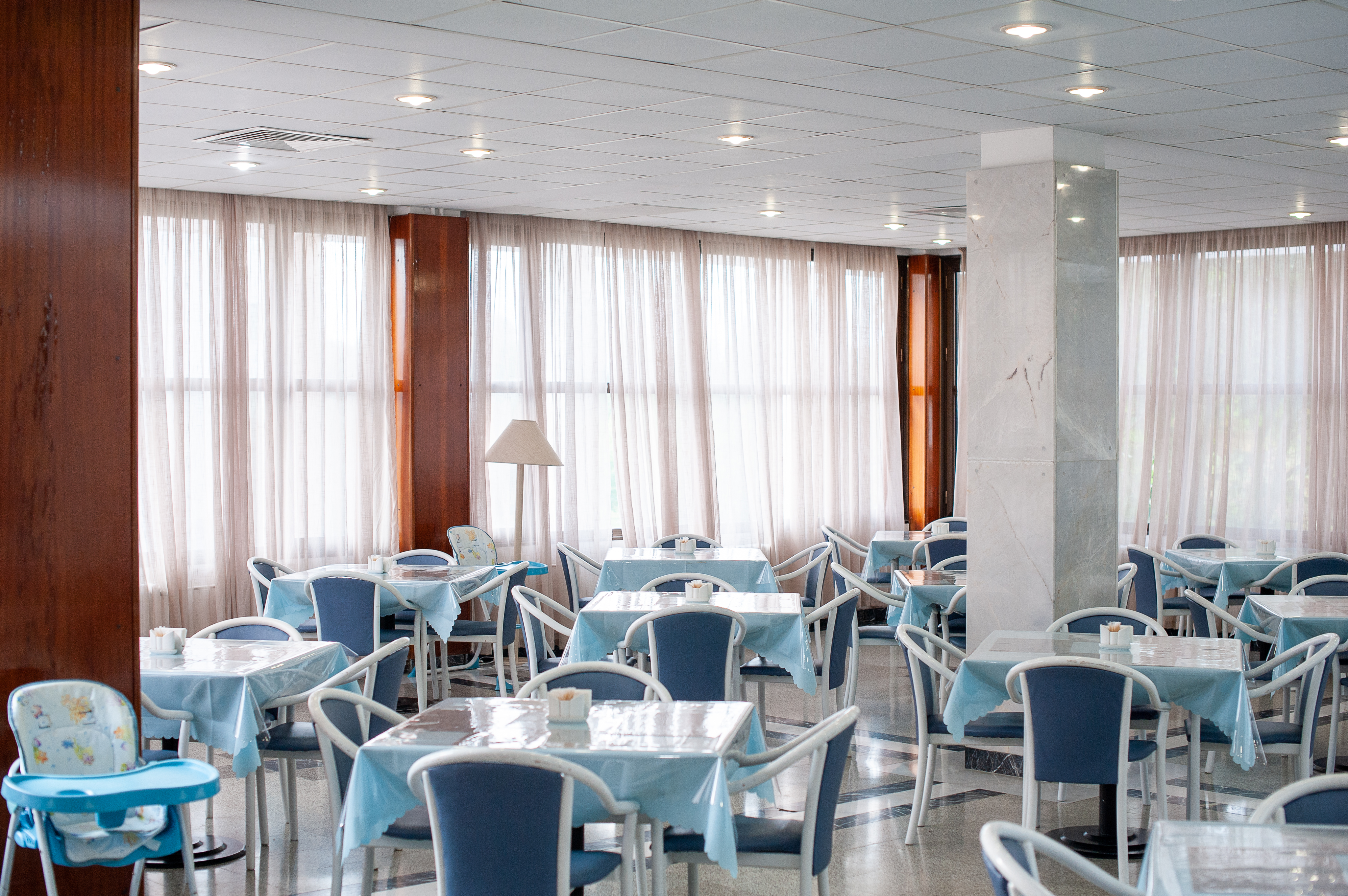 Фото Самшитовая роща