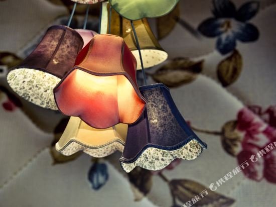 Фото Hotel Trash Deluxe