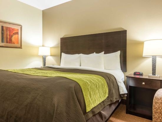 Фото Comfort Inn & Suites Scott-West Lafayette