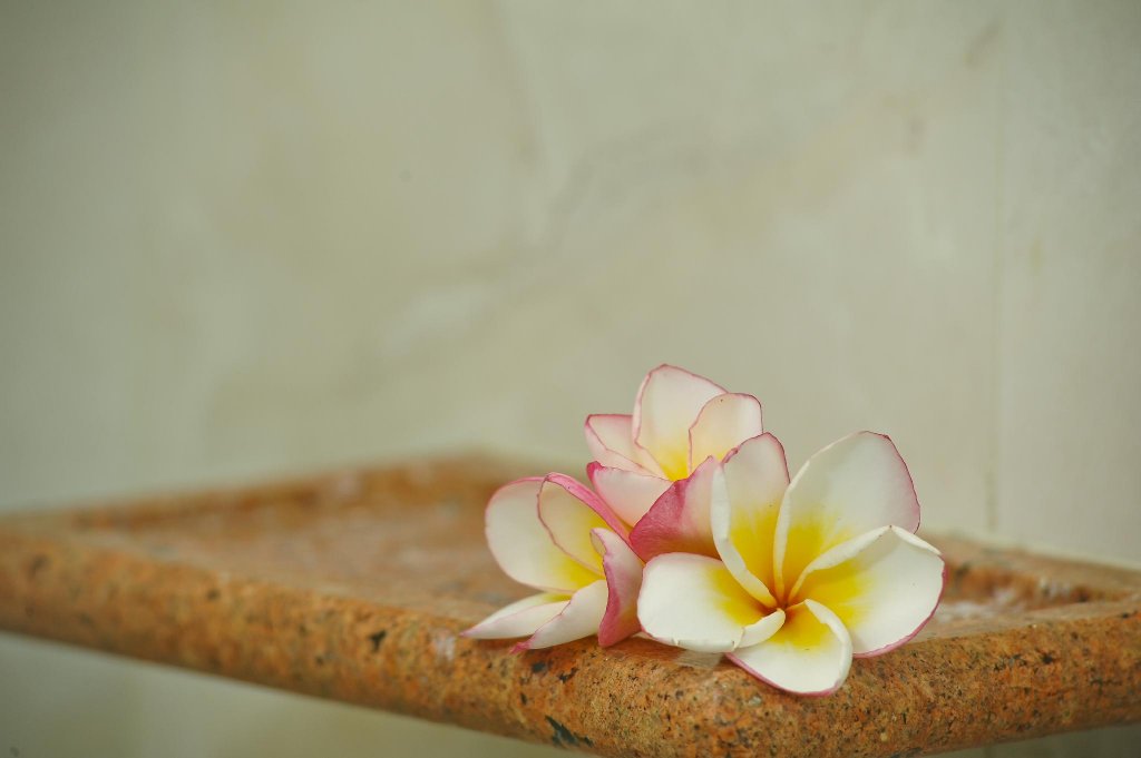 Фото Villa Wanida Garden Resort