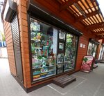 Киоск по продаже зоотоваров (9 Yanvarya Street, 177/3), pet shop