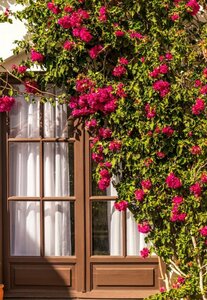 Гостиница The Jardin De Su Merced B&b